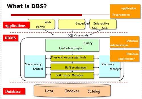 數(shù)據(jù)庫管理系統(tǒng)（DBMS）入門 基礎(chǔ)概念、目標(biāo)與應(yīng)用